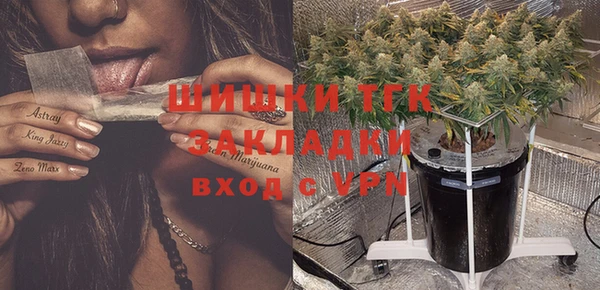 шишки Волоколамск