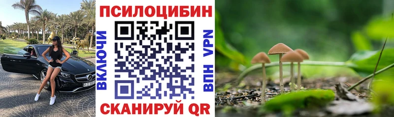Псилоцибиновые грибы MAGIC MUSHROOMS Коряжма