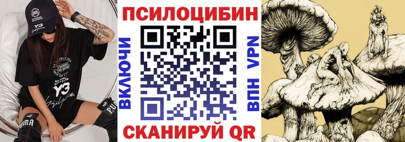 Купить  Коряжма  Галлюциногенные грибы мухоморы 